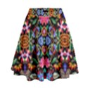 RP-3-4 High Waist Skirt View1