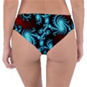 Fractal Spiral Abstract Pattern Art Reversible Classic Bikini Bottoms View4