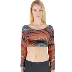 Fractal Spiral Abstract Design Long Sleeve Crop Top by Pakrebo