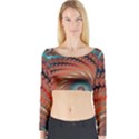 Fractal Spiral Abstract Design Long Sleeve Crop Top View1