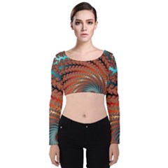 Fractal Spiral Abstract Design Velvet Long Sleeve Crop Top by Pakrebo