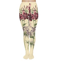 Botanical Print Antique Flora Plant Tights by Pakrebo