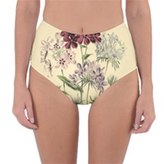 Botanical Print Antique Flora Plant Reversible High-waist Bikini Bottoms by Pakrebo