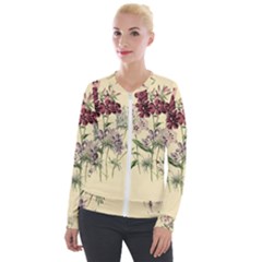 Botanical Print Antique Flora Plant Velour Zip Up Jacket by Pakrebo