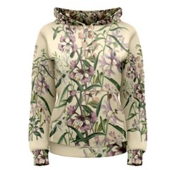 Botanical Print Antique Natural Women s Pullover Hoodie by Pakrebo