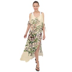 Botanical Print Antique Natural Maxi Chiffon Cover Up Dress by Pakrebo