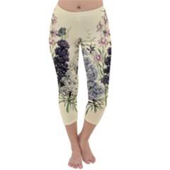 Botanical Print Antique Floral Capri Winter Leggings  by Pakrebo