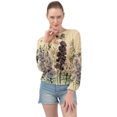 Botanical Print Antique Floral Banded Bottom Chiffon Top