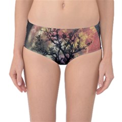 Full Moon Silhouette Tree Night Mid-waist Bikini Bottoms by Pakrebo