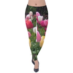 Home Chicago Tulips Velvet Leggings