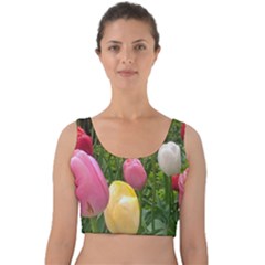 Home Chicago Tulips Velvet Crop Top