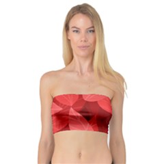 Leaf Design Leaf Background Red Bandeau Top by Pakrebo