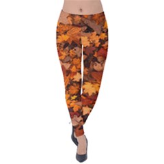 Fall Foliage Autumn Leaves October Velvet Leggings by Pakrebo