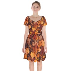 Fall Foliage Autumn Leaves October Short Sleeve Bardot Dress by Pakrebo