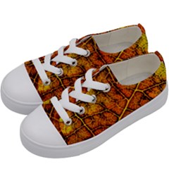 Autumn Leaves Forest Fall Color Kids  Low Top Canvas Sneakers by Pakrebo