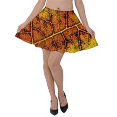 Autumn Leaves Forest Fall Color Velvet Skater Skirt by Pakrebo