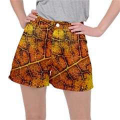 Autumn Leaves Forest Fall Color Ripstop Shorts by Pakrebo