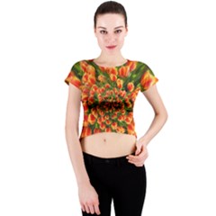 Tulips Arrangement Many Blossom Crew Neck Crop Top by Pakrebo