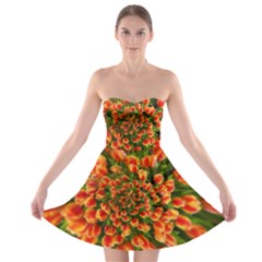 Tulips Arrangement Many Blossom Strapless Bra Top Dress by Pakrebo