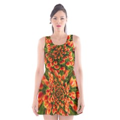 Tulips Arrangement Many Blossom Scoop Neck Skater Dress by Pakrebo