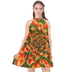 Tulips Arrangement Many Blossom Halter Neckline Chiffon Dress  by Pakrebo