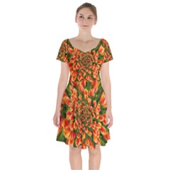 Tulips Arrangement Many Blossom Short Sleeve Bardot Dress by Pakrebo