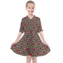 Decorative Flower Kids  All Frills Chiffon Dress View1