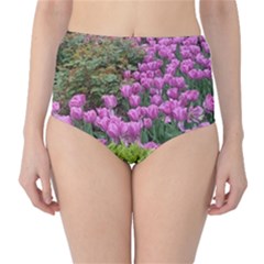 Late April Purple Tulip Classic High-waist Bikini Bottoms by Riverwoman