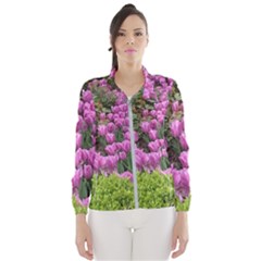 Late April Purple Tulip Women s Windbreaker by Riverwoman