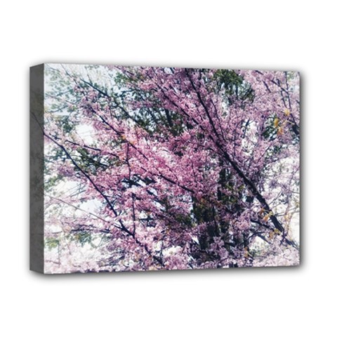 Ohio Redbud Deluxe Canvas 16  X 12  (stretched)  by Riverwoman