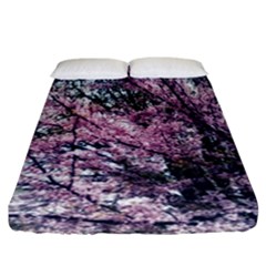 Ohio Redbud Fitted Sheet (california King Size) by Riverwoman