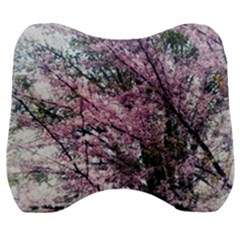 Ohio Redbud Velour Head Support Cushion by Riverwoman