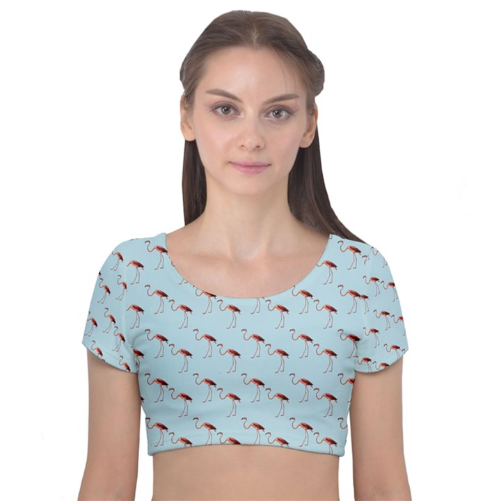 Flamingo Pattern Blue Velvet Short Sleeve Crop Top 