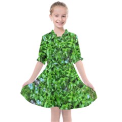 Forget Me Not Kids  All Frills Chiffon Dress by Riverwoman