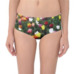 Tulips  Mid-waist Bikini Bottoms by Riverwoman