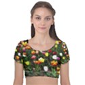 Tulips  Velvet Short Sleeve Crop Top  View1