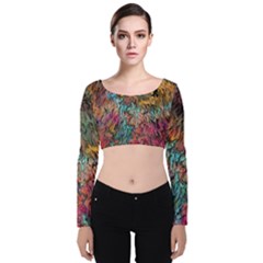 Oil Paint Velvet Long Sleeve Crop Top by Bajindul