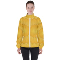 Wave Lines Yellow Women s High Neck Windbreaker by HermanTelo