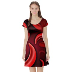 Cells All Over  Short Sleeve Skater Dress by shawnstestimony