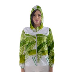 Lime Club Soda Drink Cocktail Women s Hooded Windbreaker by Pakrebo