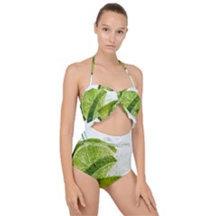 Lime Club Soda Drink Cocktail Scallop Top Cut Out Swimsuit by Pakrebo