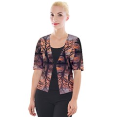 Aurora Sunset Sun Landscape Cropped Button Cardigan by Pakrebo