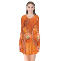 Pumpkin Halloween Fall Thanksgiving Long Sleeve V-neck Flare Dress by Pakrebo