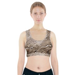 Structure Reference Material Rain Sports Bra With Pocket by Pakrebo