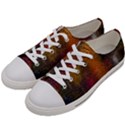 Colors Exploding Paint Spray Women s Low Top Canvas Sneakers View2