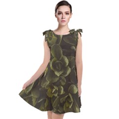 Green Leafy Plant Tie Up Tunic Dress