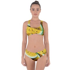 Sliced Watermelon Lot Criss Cross Bikini Set by Pakrebo