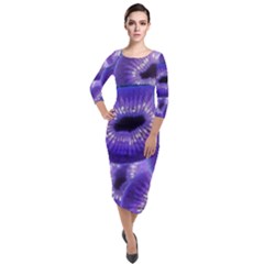 Sliced Kiwi Fruits Purple Quarter Sleeve Midi Velour Bodycon Dress by Pakrebo