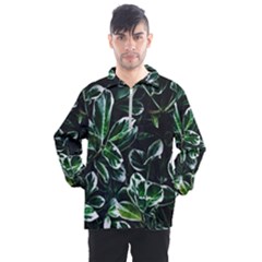 Beautiful Botanical Bright Men s Half Zip Pullover by Pakrebo