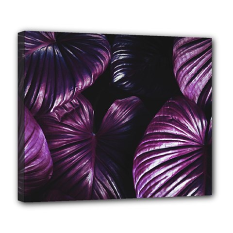 Purple Leaves Deluxe Canvas 24  X 20  (stretched) by Pakrebo